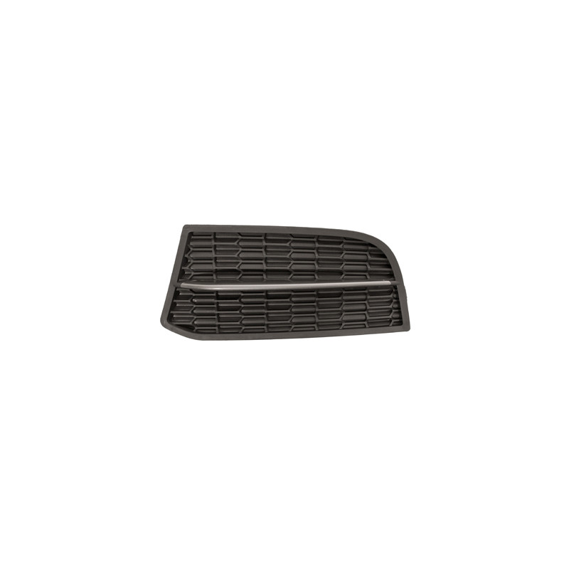 Grille noire de pare-chocs avant côté chauffeur Grille noire de pare-chocs avant côté chauffeur