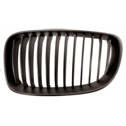 Grille de calandre noir côté chauffeur
