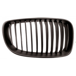 Grille de calandre noire côté passager