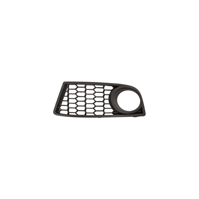 Grille noire de pare-chocs avant côté chauffeur Grille noire de pare-chocs avant côté chauffeur
