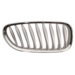 Grille de calandre grise côté passager