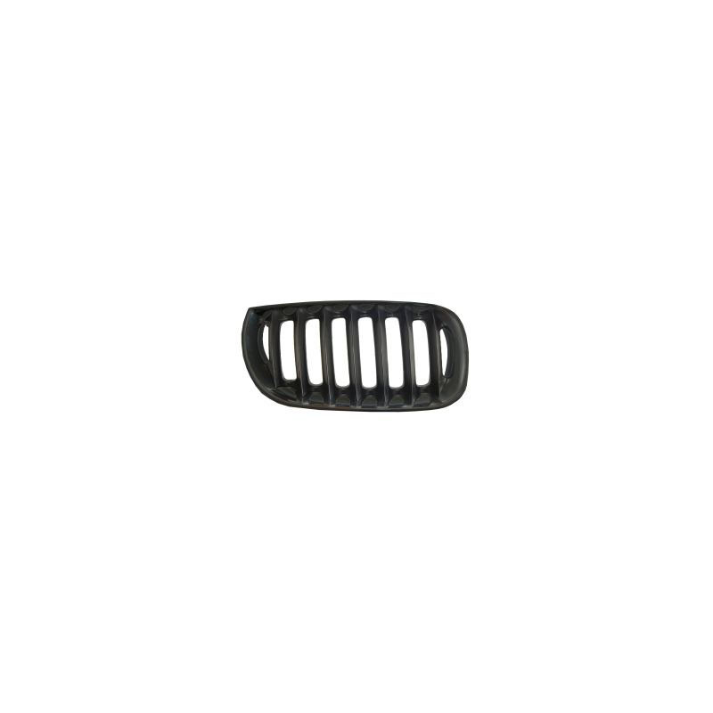 Grille de calandre noire côté passager Grille de calandre noire côté passager