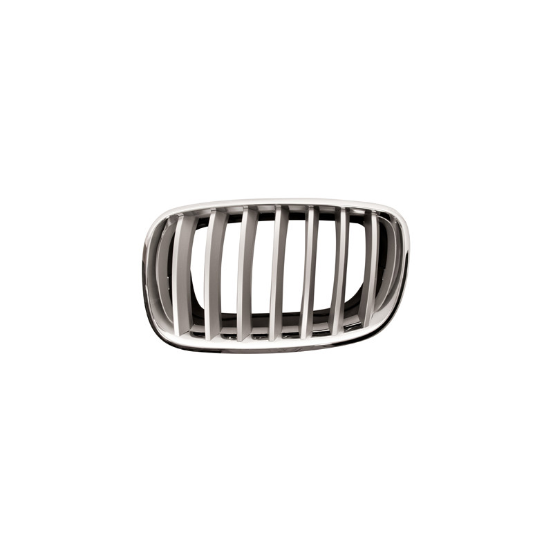 Grille de calandre chrome titane côté chauffeur Grille de calandre chrome titane côté chauffeur