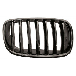 Grille de calandre noire brillant côté passager