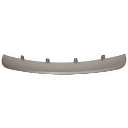 Bandeau central gris et chrome de pare-chocs avant