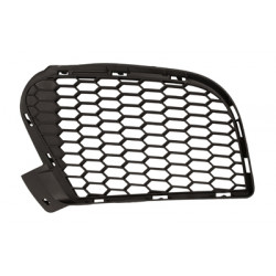 Grille noire de pare-chocs avant côté chauffeur