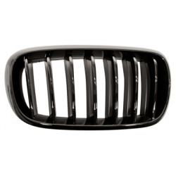 Grille de calandre noire brillant côté passager