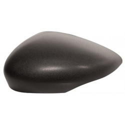 Coque de rétroviseur noir côté chauffeur
