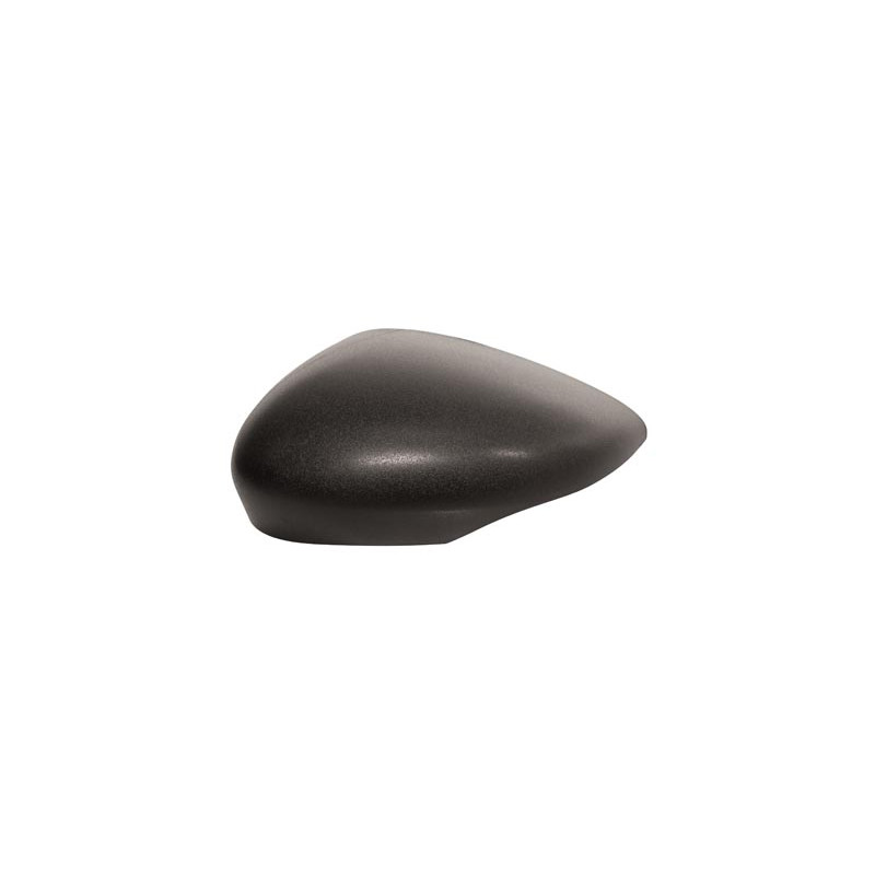 Coque de rétroviseur noir côté chauffeur Coque de rétroviseur noir côté chauffeur