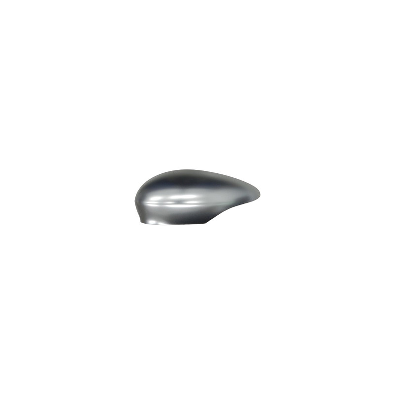 Coque de rétroviseur chrome côté chauffeur Coque de rétroviseur chrome côté chauffeur