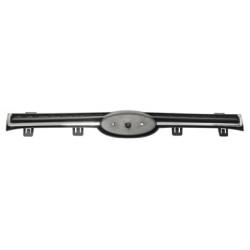 Grille de calandre noir avec moulre chrome