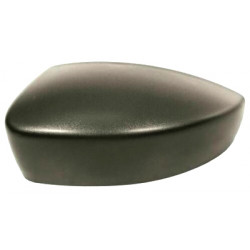 Coque de rétroviseur noir côté chauffeur