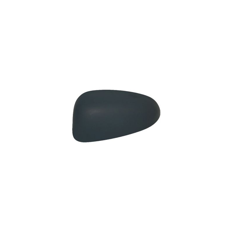 Coque de rétroviseur noir côté chauffeur Coque de rétroviseur noir côté chauffeur