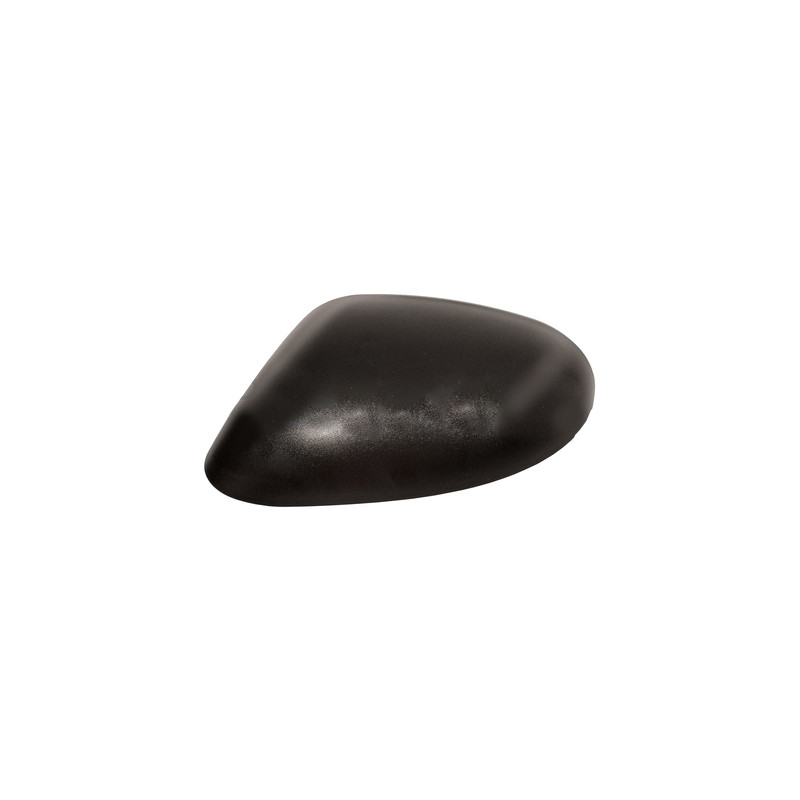 Coque de rétroviseur noir côté chauffeur Coque de rétroviseur noir côté chauffeur