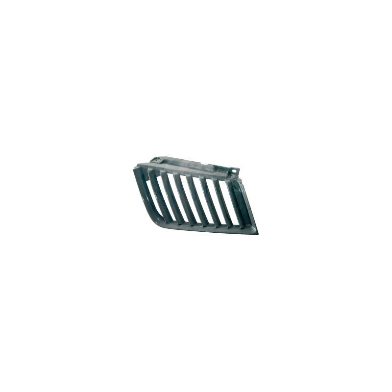 Grille de calandre noir côté chauffeur Grille de calandre noir côté chauffeur