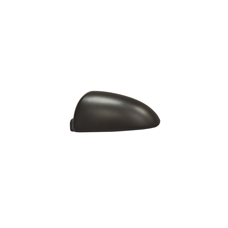 Coque de rétroviseur noir côté chauffeur Coque de rétroviseur noir côté chauffeur