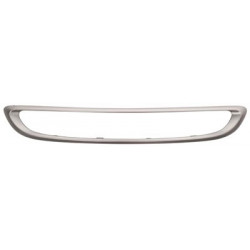 Moulure grise de grille centrale de pare-chocs avant