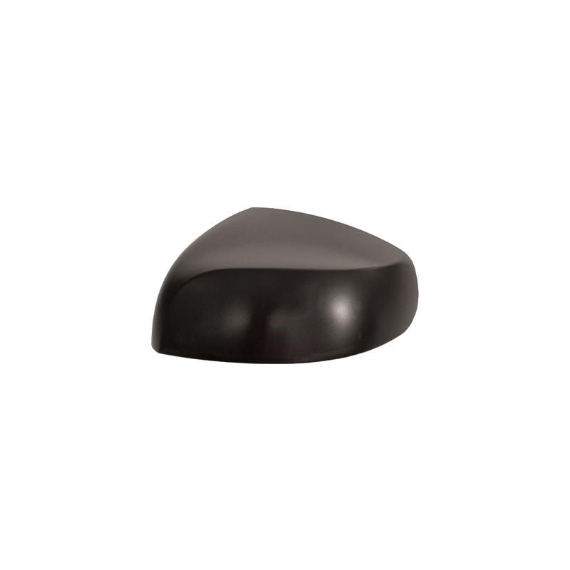 Coque de rétroviseur noir côté chauffeur Coque de rétroviseur noir côté chauffeur