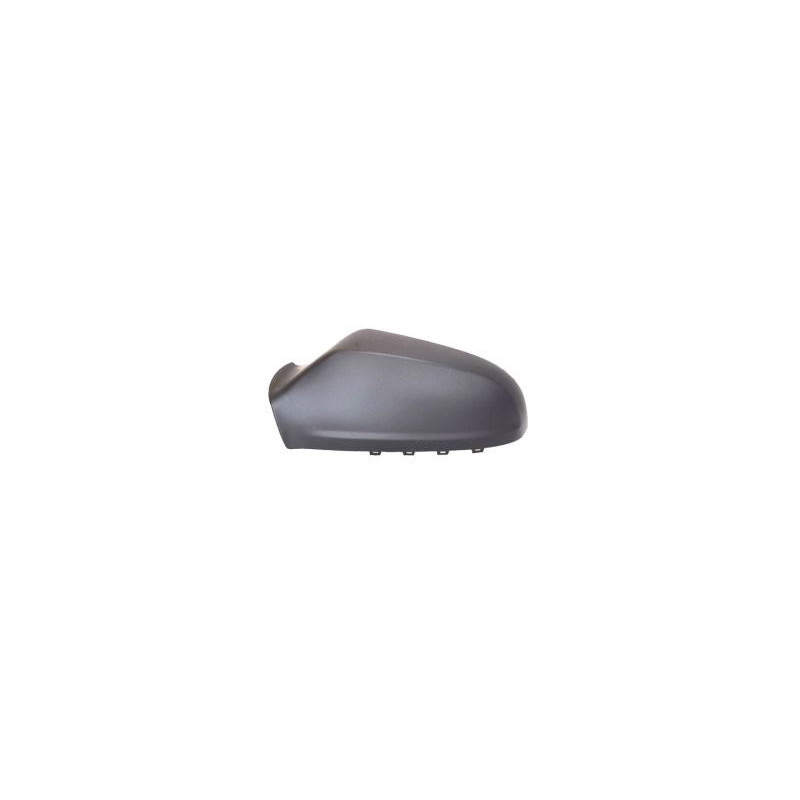 Coque de rétroviseur noir côté chauffeur Coque de rétroviseur noir côté chauffeur