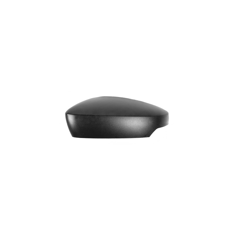 Coque de rétroviseur noir côté chauffeur Coque de rétroviseur noir côté chauffeur