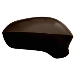 Coque de rétroviseur noir côté passager