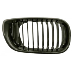 Grille de calandre noire côté passager