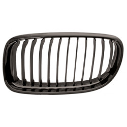 Grille de calandre noir côté chauffeur