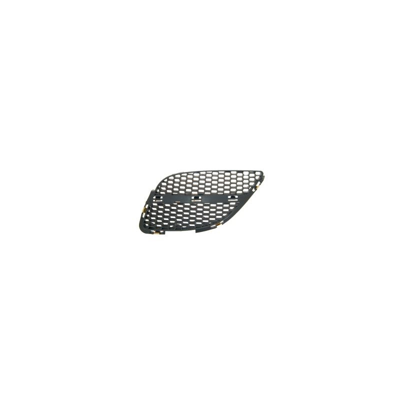 Grille de calandre côté chauffeur Grille de calandre côté chauffeur