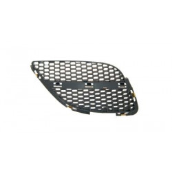 Grille de calandre côté passager