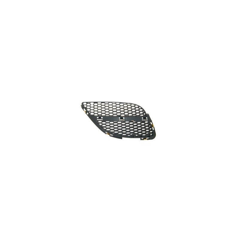 Grille de calandre côté passager Grille de calandre côté passager
