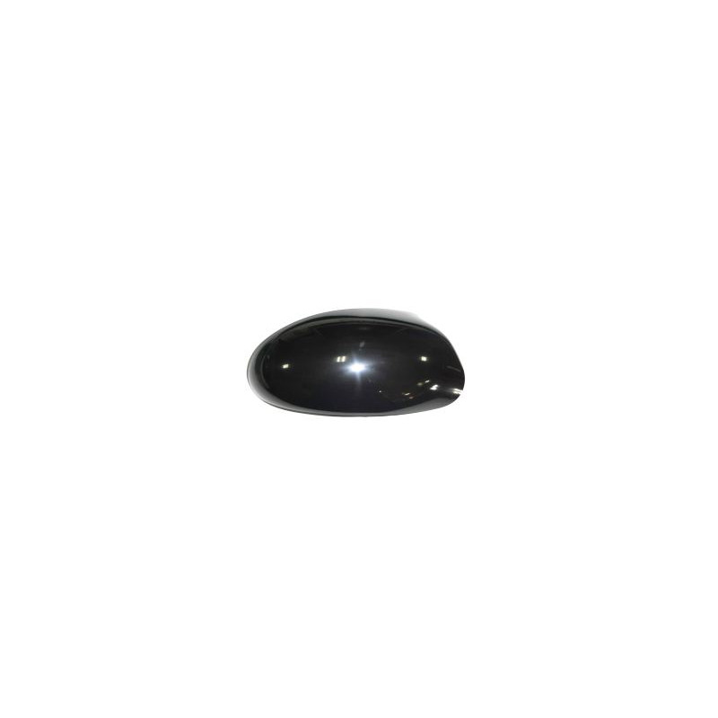 Coque de rétroviseur noir côté passager Coque de rétroviseur noir côté passager