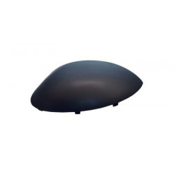 Coque de rétroviseur noir côté chauffeur