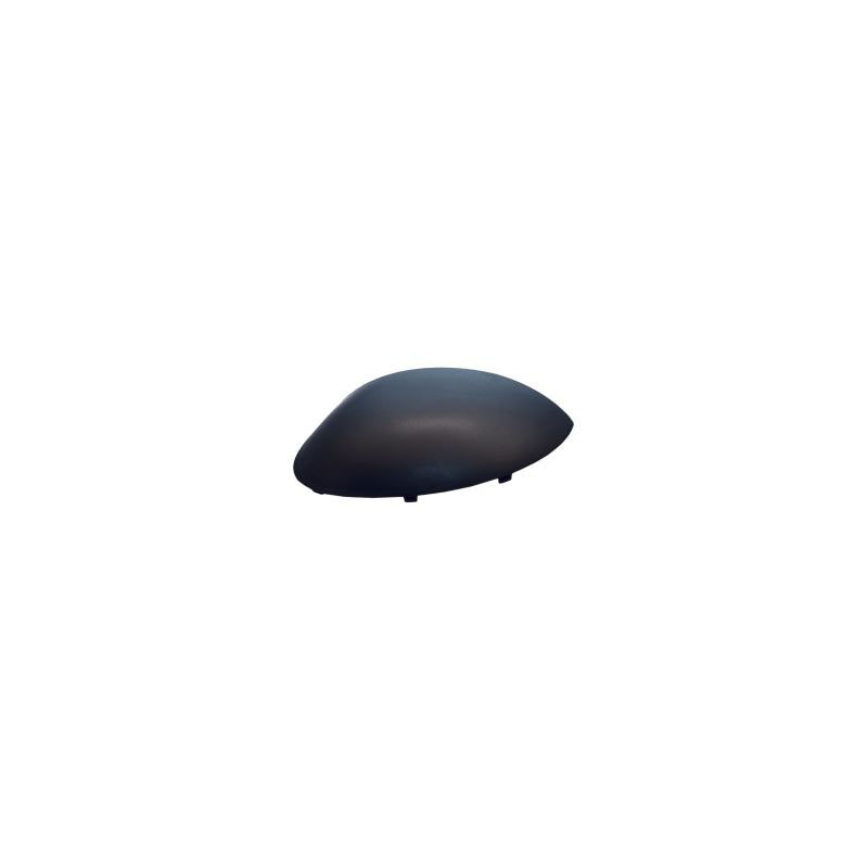 Coque de rétroviseur noir côté chauffeur Coque de rétroviseur noir côté chauffeur