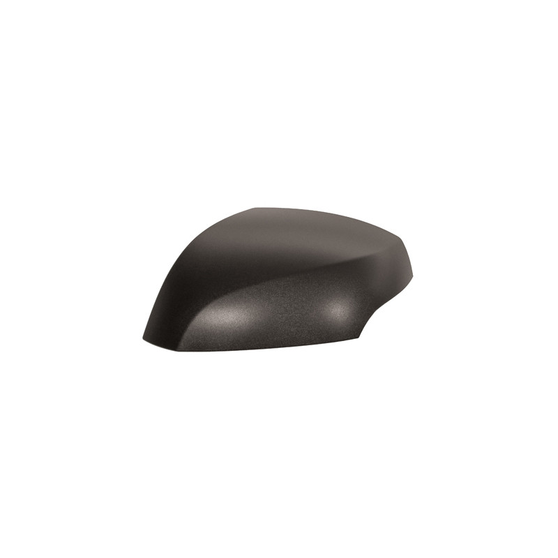 Coque de rétroviseur noir côté chauffeur Coque de rétroviseur noir côté chauffeur