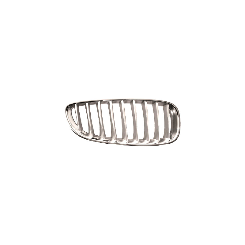 Grille de calandre titane mat côté passager Grille de calandre titane mat côté passager