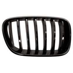 Grille de calandre noire brillant côté passager