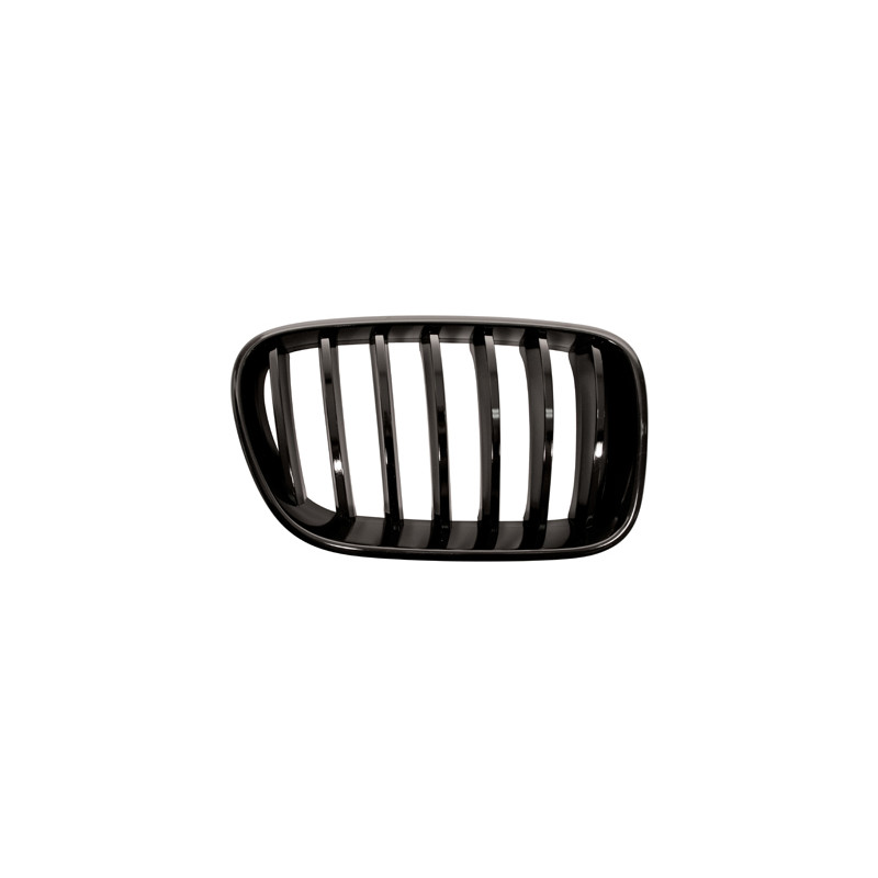 Grille de calandre noire brillant côté passager Grille de calandre noire brillant côté passager
