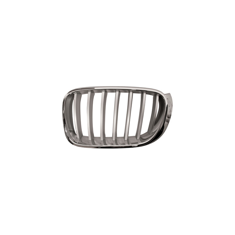 Grille de calandre chrome côté chauffeur Grille de calandre chrome côté chauffeur