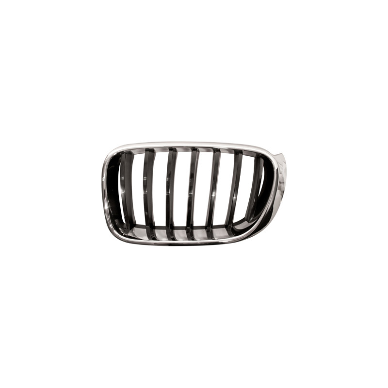 Grille de calandre chrome noir côté chauffeur Grille de calandre chrome noir côté chauffeur
