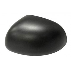 Coque de rétroviseur noir côté chauffeur
