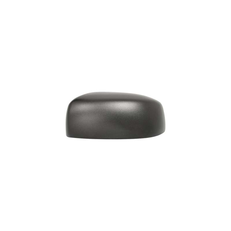 Coque de rétroviseur noir côté chauffeur Coque de rétroviseur noir côté chauffeur