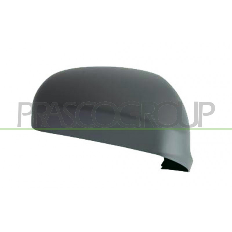 Coque de rétroviseur noir côté chauffeur Coque de rétroviseur noir côté chauffeur