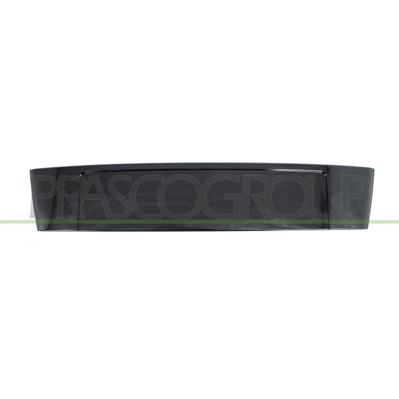 Support de plaque de police avant Support de plaque de police avant