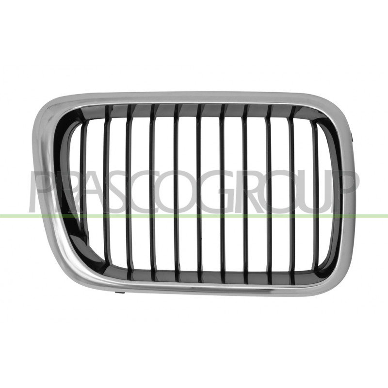 Grille de calandre côté passager Grille de calandre côté passager