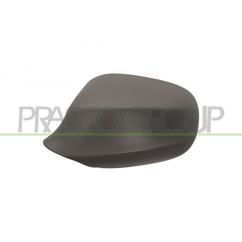 Coque de rétroviseur à peindre avec apprêt côté chauffeur Coque de rétroviseur à peindre avec apprêt côté chauffeur