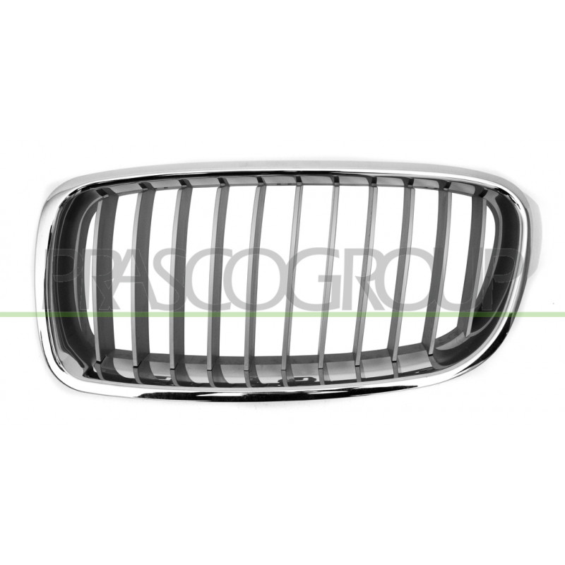 Grille de calandre argent avec moulure chrome côté chauffeur Grille de calandre argent avec moulure chrome côté chauffeur
