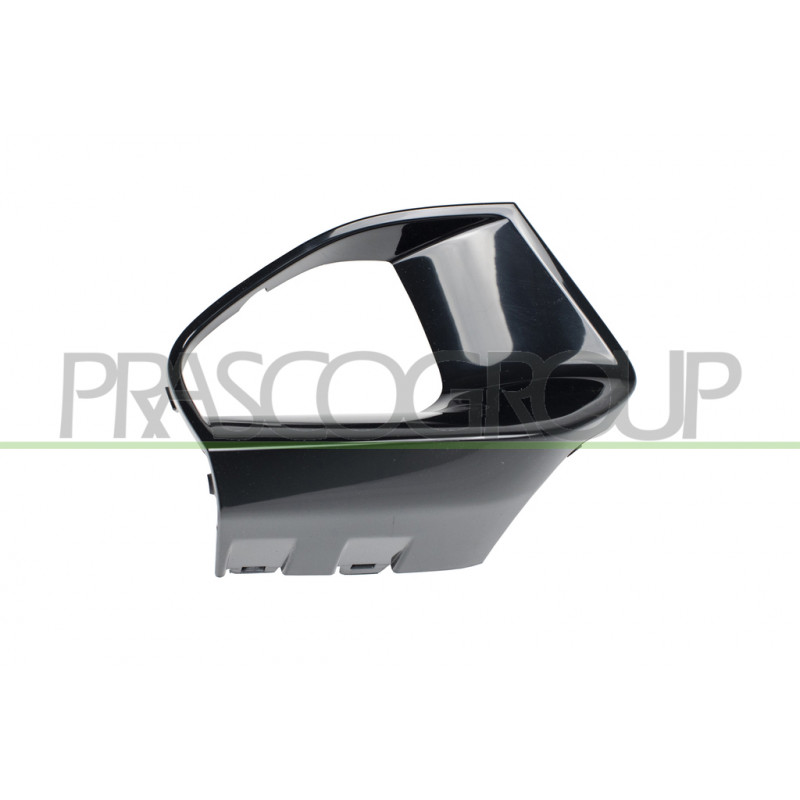 Enjoliveur noir brillant pour antibrouillard côté chauffeur Enjoliveur noir brillant pour antibrouillard côté chauffeur