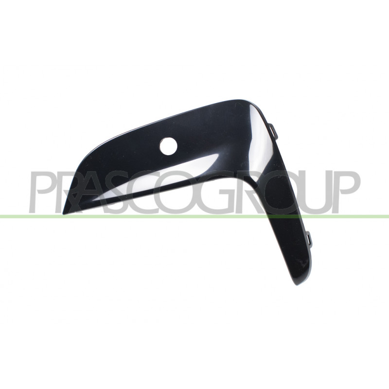 Moulure noir brillant de grille de calandre côté chauffeur Moulure noir brillant de grille de calandre côté chauffeur