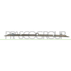 Moulure chrome de support de plaque de police avant