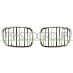 Grille de calandre chrome noir noir côté passager